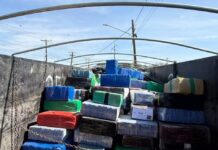 Maior apreensão do ano: caminhão é parado na BR-163 e polícia descobre 10 toneladas de maconha em carga