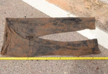 Ossada humana é encontrada às margens de rodovia em Coxim