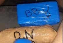 Servidora estadual é presa em ação contra envio de drogas e celulares na Máxima