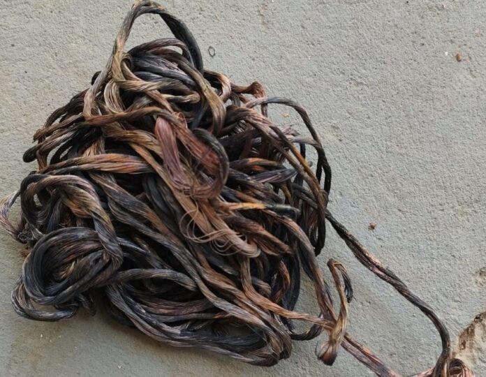 f397ac7c-cacf-454b-8242-949651ee5d93