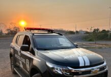 Ação integrada entre Polícia Civil e PRF resulta na apreensão de mais de 1t de maconha e na prisão de dois envolvidos em MS