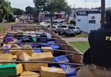 Motorista é preso com mais de 8 toneladas de maconha em Naviraí