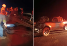 Seis vacas morrem ao serem atropeladas por picape na BR-163